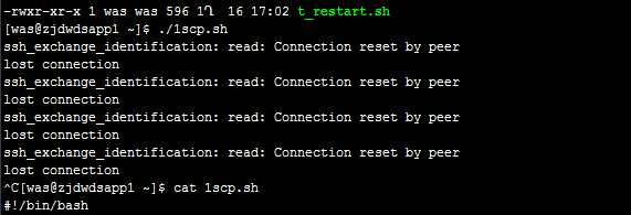 Conexión de error de lectura de Windows rsync restablecida simplemente por el par 104
